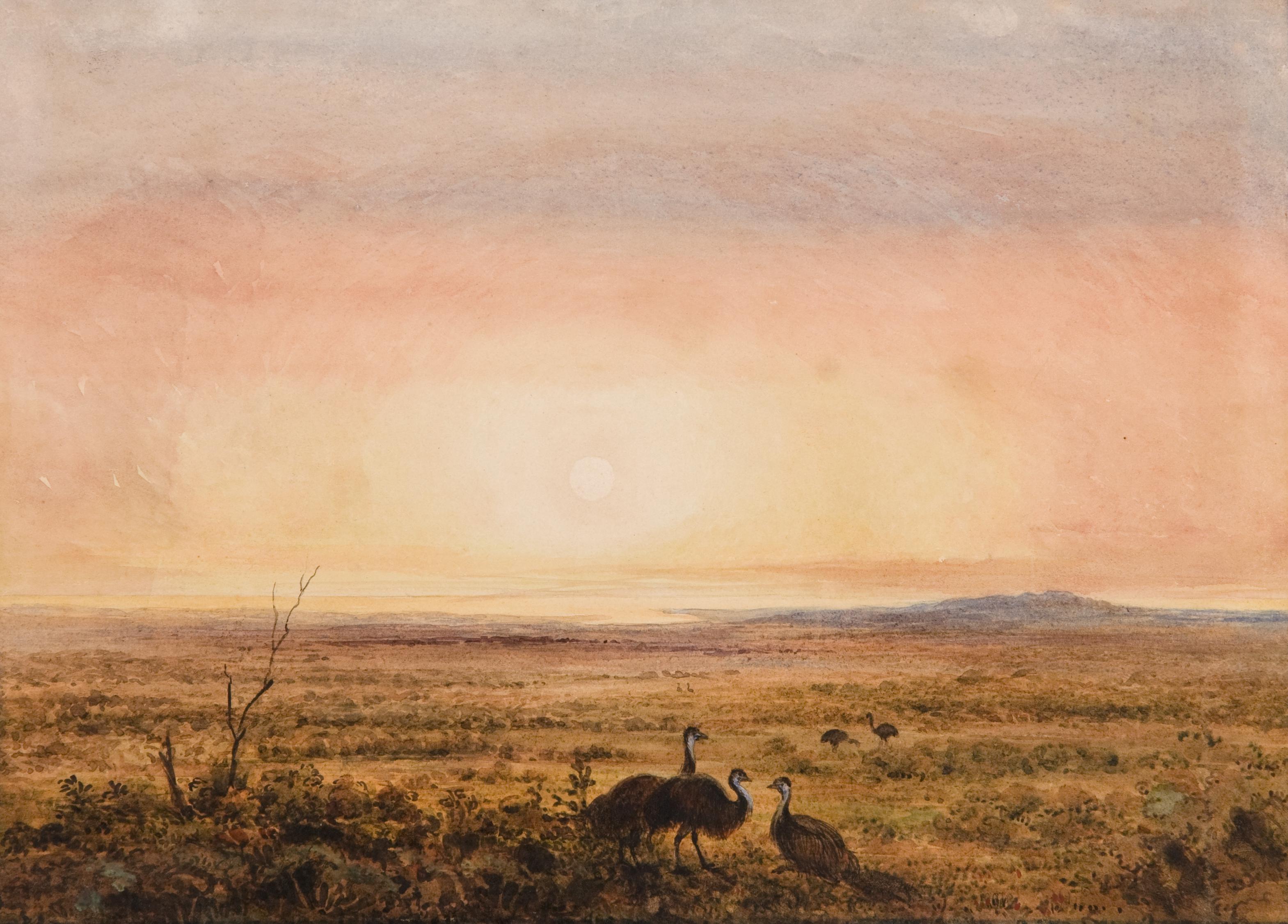 Thumbnail image for Scene showing emus in a plain | AGSA 721HP4